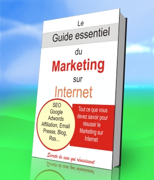 Le guide essentiel du marketing sur internet/?tk=tracker
