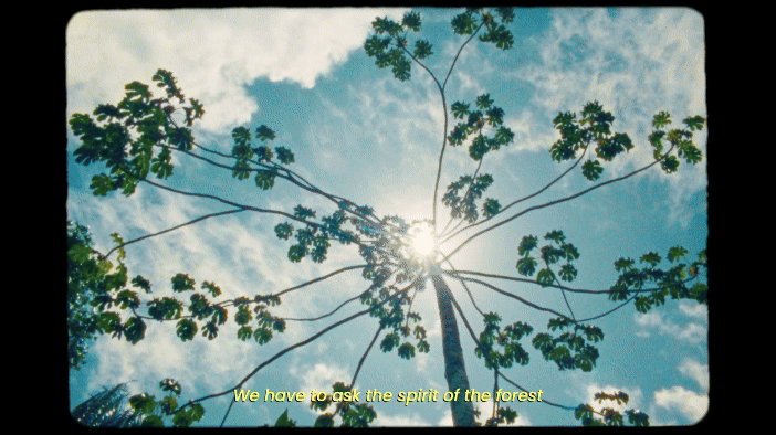 a gif from the short documentary film 'I Am the Nature' featuring sunny shots of plants and trees in the rainforest with the subtitle text reading "We have to ask the spirit of the forest to help them, the let them understand."