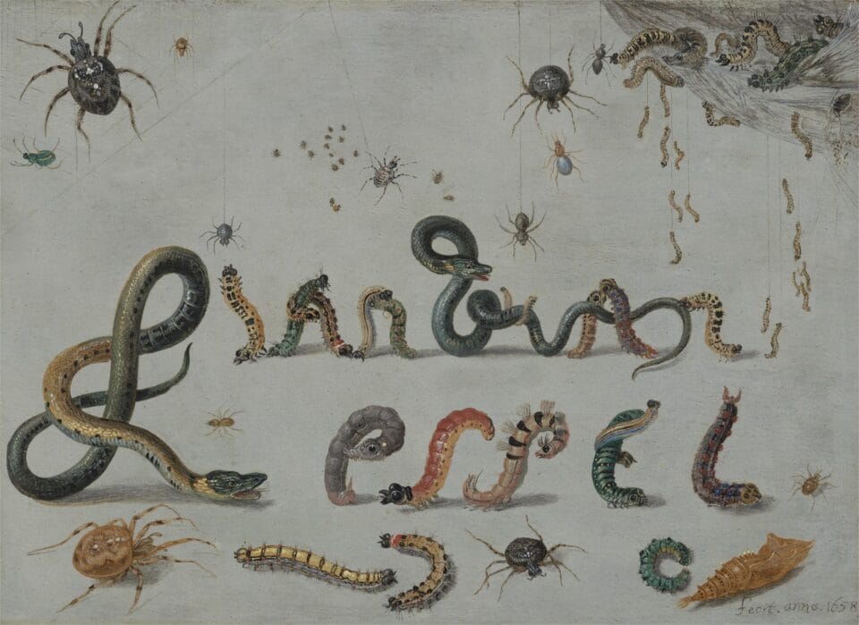 a drawing by artist Jan van Kessel the Elder of his own name written out using the forms of insects and reptiles